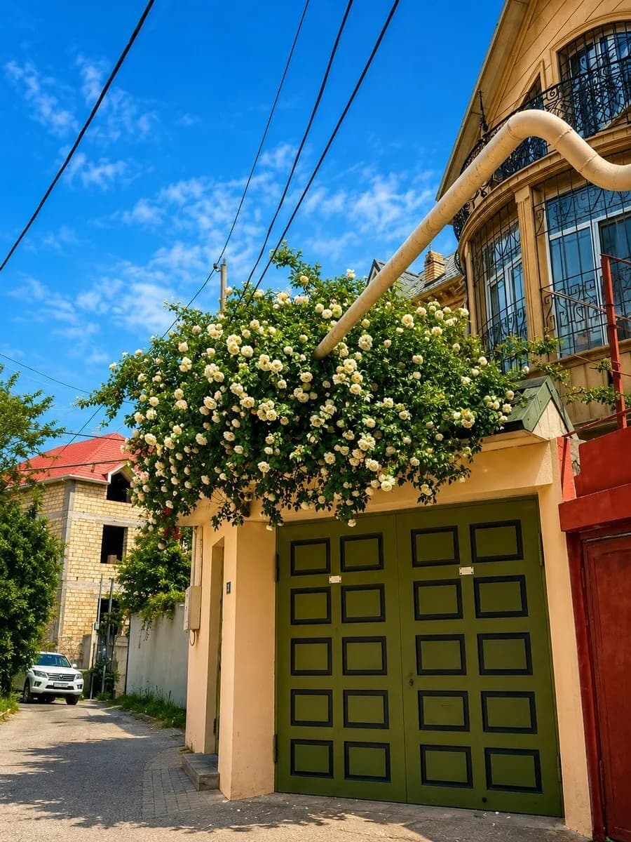 5 otaqlı həyət evi